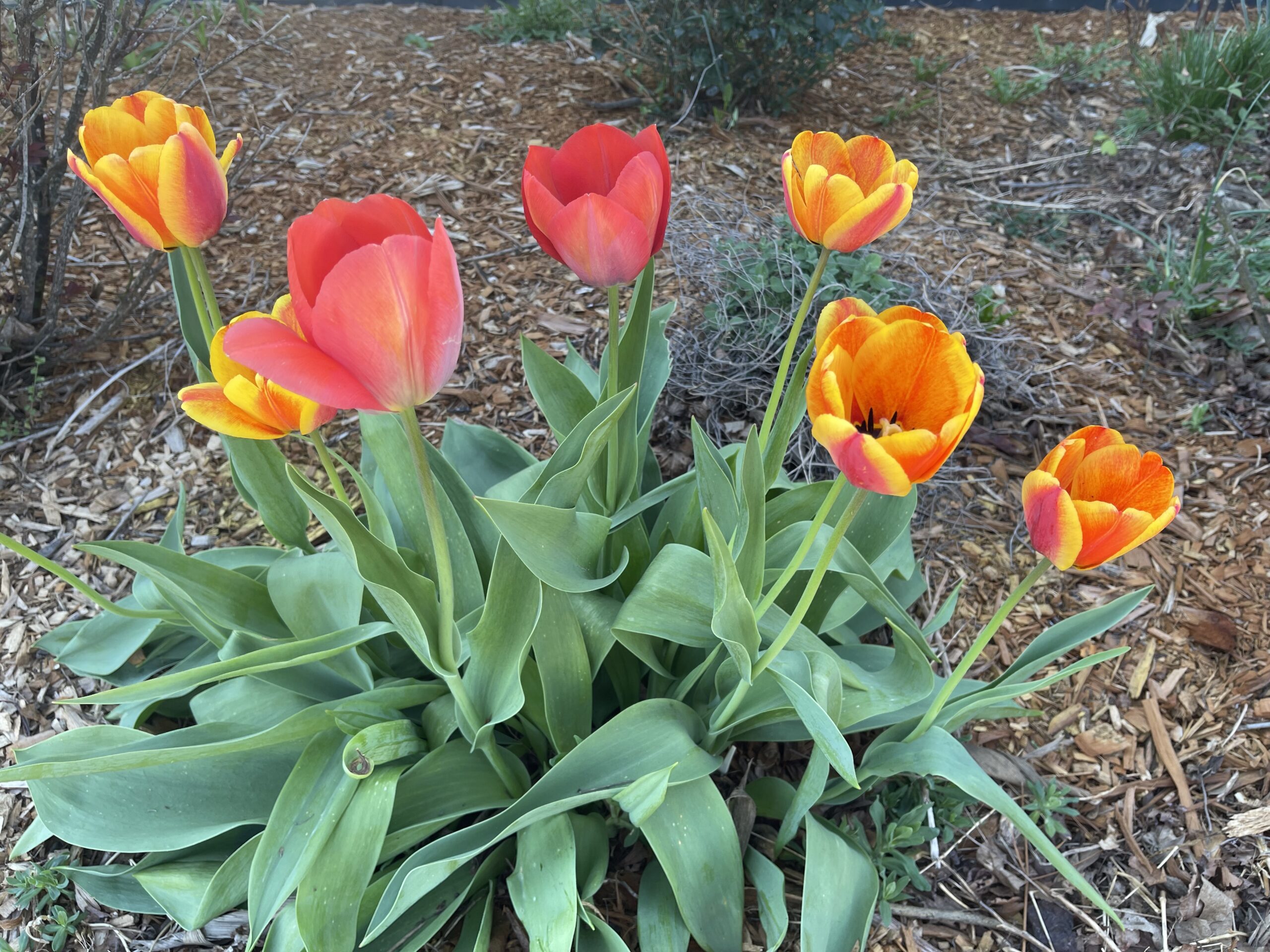 Parkesburg Word Of Faith Church